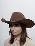 Шляпа BAILEY арт. W2202B EVANT (коричневый)